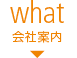 what：会社案内